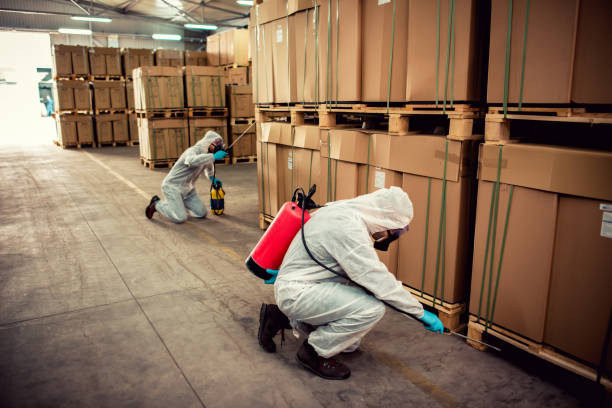 Best Pest Removal Services  in Dayton, KY