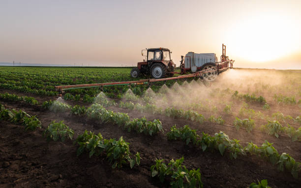 Best Commercial Pest Control Services  in Dayton, KY