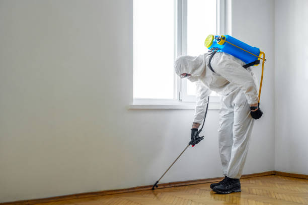 Best Mosquito Control Services  in Dayton, KY