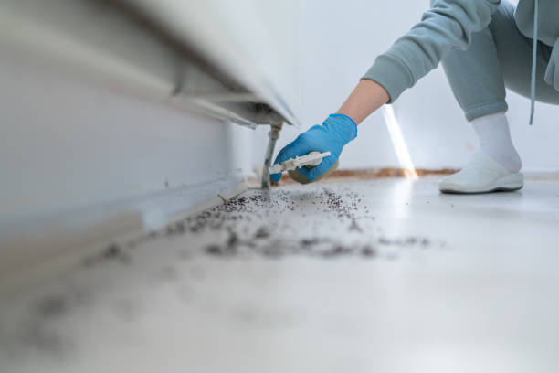 Trusted Dayton, KY Pest Control Experts